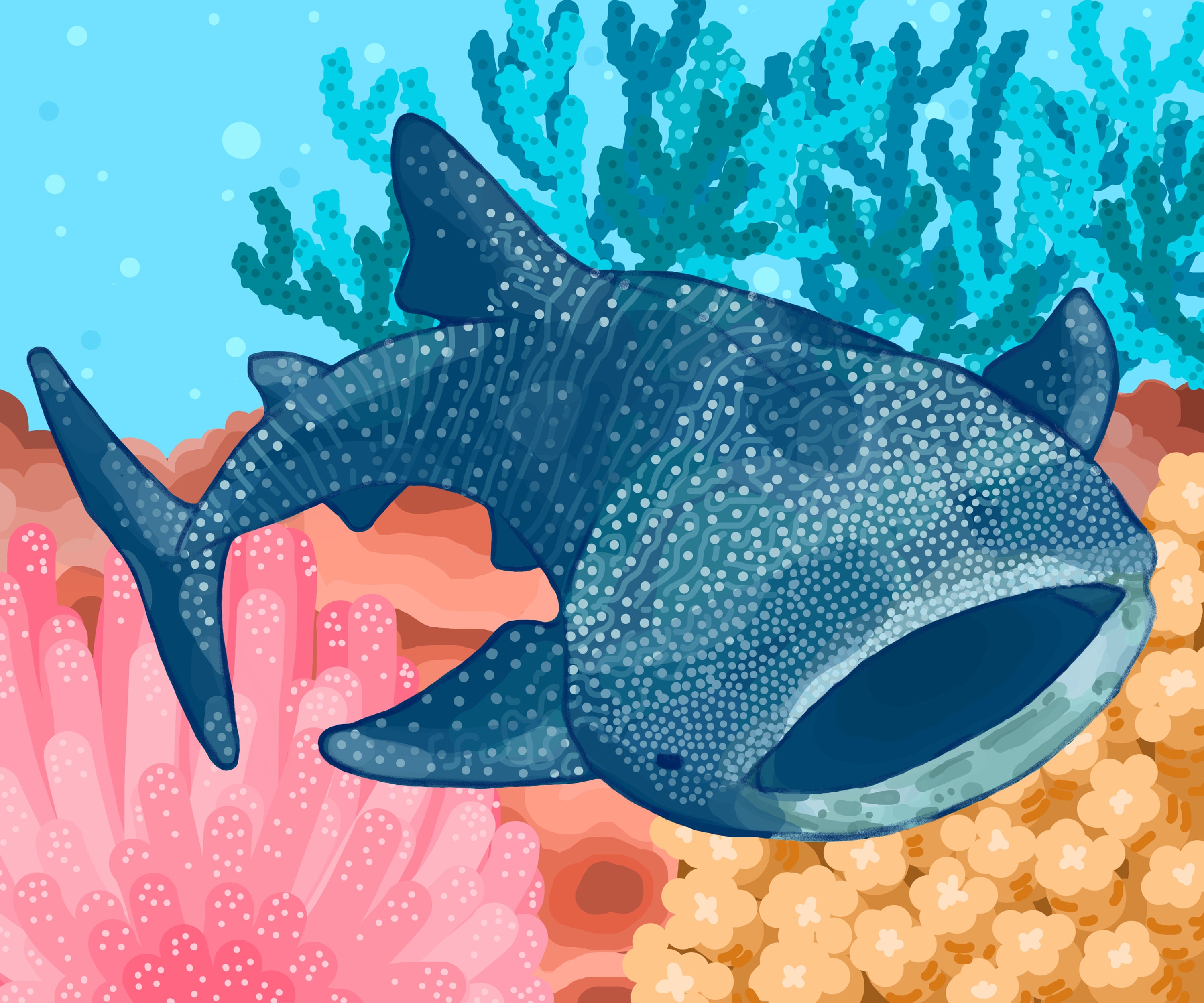 Whale Shark Digital Wall Art Decor, Rhincodon Typus, Blue Whale Shark — free download