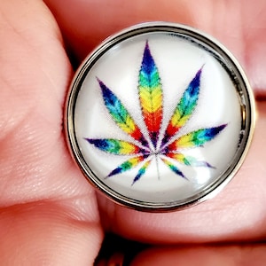 May include: A silver ring with a glass cabochon featuring a rainbow marijuana leaf design.