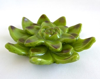 Green and Plum Fused Glass Succulent Dish by BPRDesigns