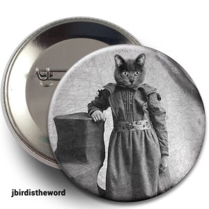 Pet Memorial, Pop Surrealism, Oddity Gift Men, Oddities Gifts, Creepy Curiosities, Dressed up Cats, Anthropomorphic, Weird Funny, Under 5