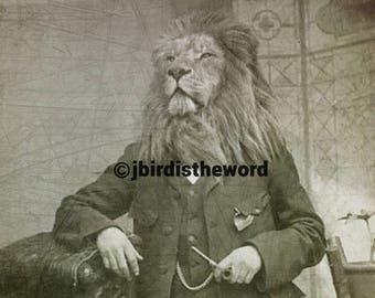Dandy Lion Dandelion Etsy