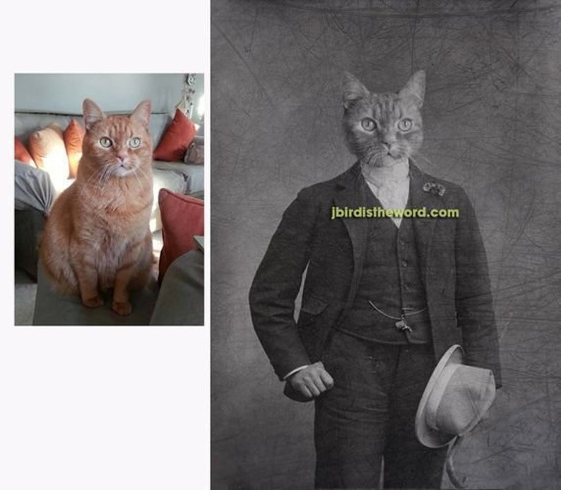 May include: A black and white photo of a cat wearing a suit and holding a hat. The cat is looking directly at the camera. The text "jbird istheword.com" is printed on the photo.