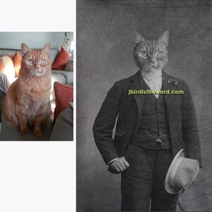 May include: A humorous photo of a ginger cat wearing a suit and tie, with a hat in hand. The cat is looking directly at the camera. The background is a vintage-style photo with a textured, faded look. The text "jbird istheword.com" is visible in the background.