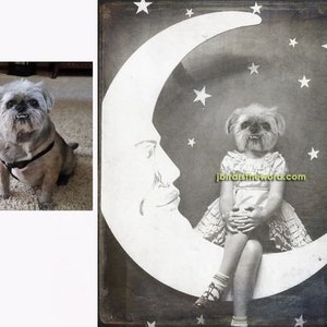 May include: A black and white photo of a dog with its head superimposed on a child's body sitting on a crescent moon. The photo is set against a background of stars.