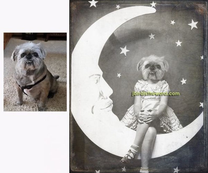 May include: A black and white photo of a dog with its head superimposed on a child's body sitting on a crescent moon. The photo is set against a background of stars.
