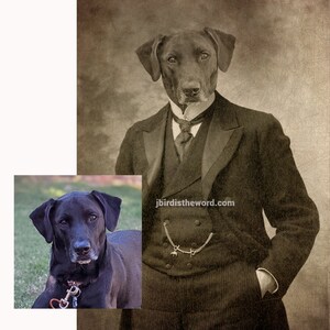 May include: A black Labrador Retriever dressed in a vintage suit with a pocket watch chain. The dog is wearing a bow tie and has a serious expression on its face. The background is a textured, faded brown.