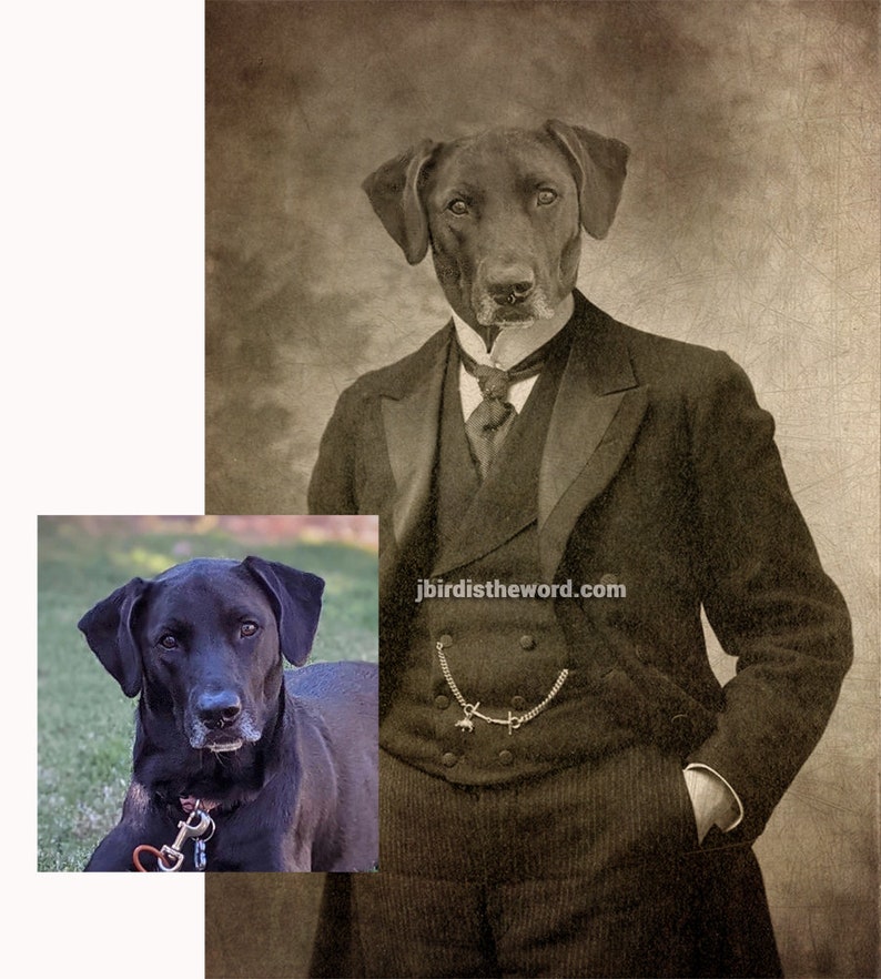 May include: A black Labrador Retriever dressed in a vintage suit with a pocket watch chain. The dog is wearing a bow tie and has a serious expression on its face. The background is a textured, faded brown.