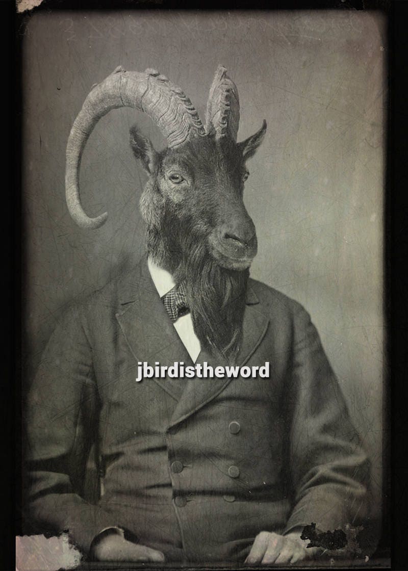 Retro goat Clearance