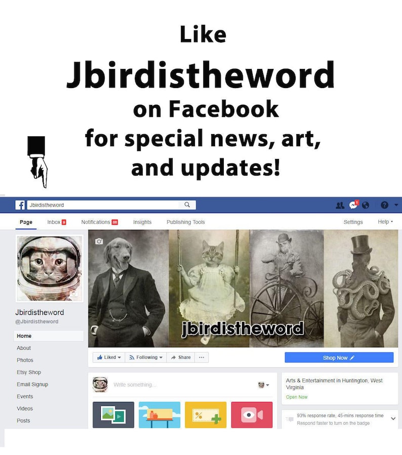 May include: A Facebook page for Jbirdistheword, an arts and entertainment business in Huntington, West Virginia. The page features a profile picture of a cat wearing a space helmet and a cover photo with four images of cats in vintage settings. The page includes a call to action to "Shop Now" and a description of the business as "Arts & Entertainment in Huntington, West Virginia".