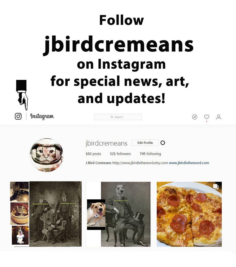 May include: Instagram profile page for jbirdcremeans, showing 102 posts, 321 followers, and 745 following. The profile picture is a cat wearing a space helmet. The page also includes links to the artist's Etsy and website.