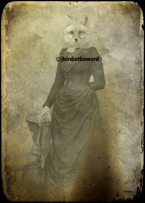 Fox Wall Art Print Foxy Decor Funny Bathroom Art Fox Gifts Etsy