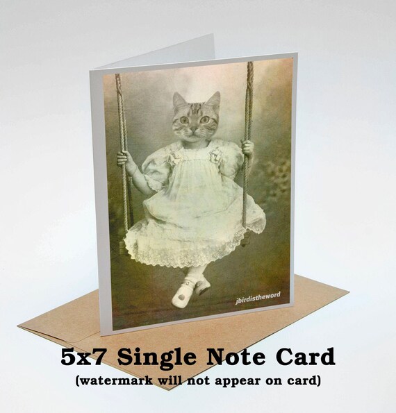 Cat Lover Gift, Tabby Note Cards, Funny Cool Set, Gift Under 20