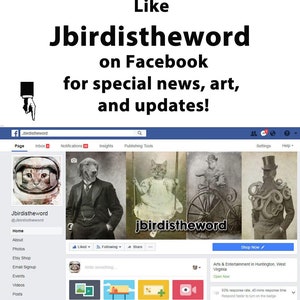 May include: A Facebook page for the artist Jbirdistheword. The page features a profile picture of a cat wearing a space helmet, a cover photo with four images of cats in various settings, and a call to action to "Like" the page for special news, art, and updates.