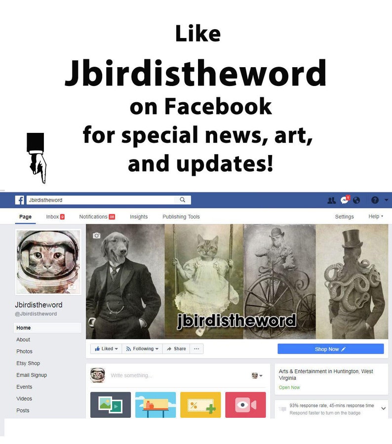 May include: A Facebook page for the artist Jbirdistheword. The page features a profile picture of a cat wearing a space helmet, a cover photo with four images of cats in various settings, and a call to action to "Like" the page for special news, art, and updates.