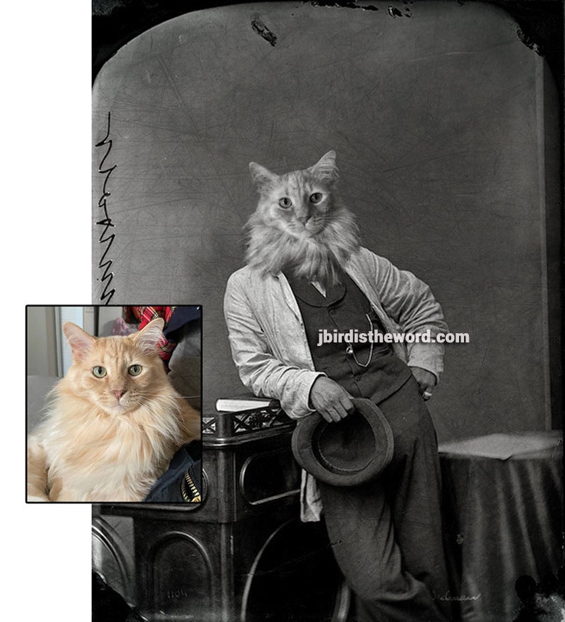 May include: A black and white photo of a cat wearing a suit and hat. The cat is leaning against a table with a hat in hand. The cat's head is superimposed on the body of a person in the photo. The text "jbird istheword.com" is visible in the image.