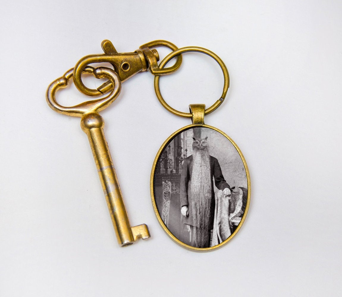 Owl Art Gift, For Teacher, Bird Lover Idea, Key Chain Ring, Animal Charm Tassel, Cute Bag Pull, Men 