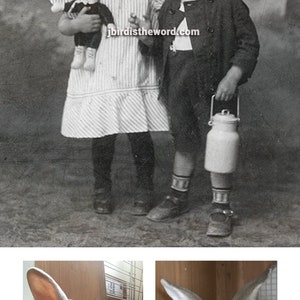 May include: Two rabbits wearing clothes, one holding a doll and the other holding a milk jug. The rabbit on the left is wearing a striped dress and the rabbit on the right is wearing a jacket and pants. The rabbits are standing in front of a blurry background.