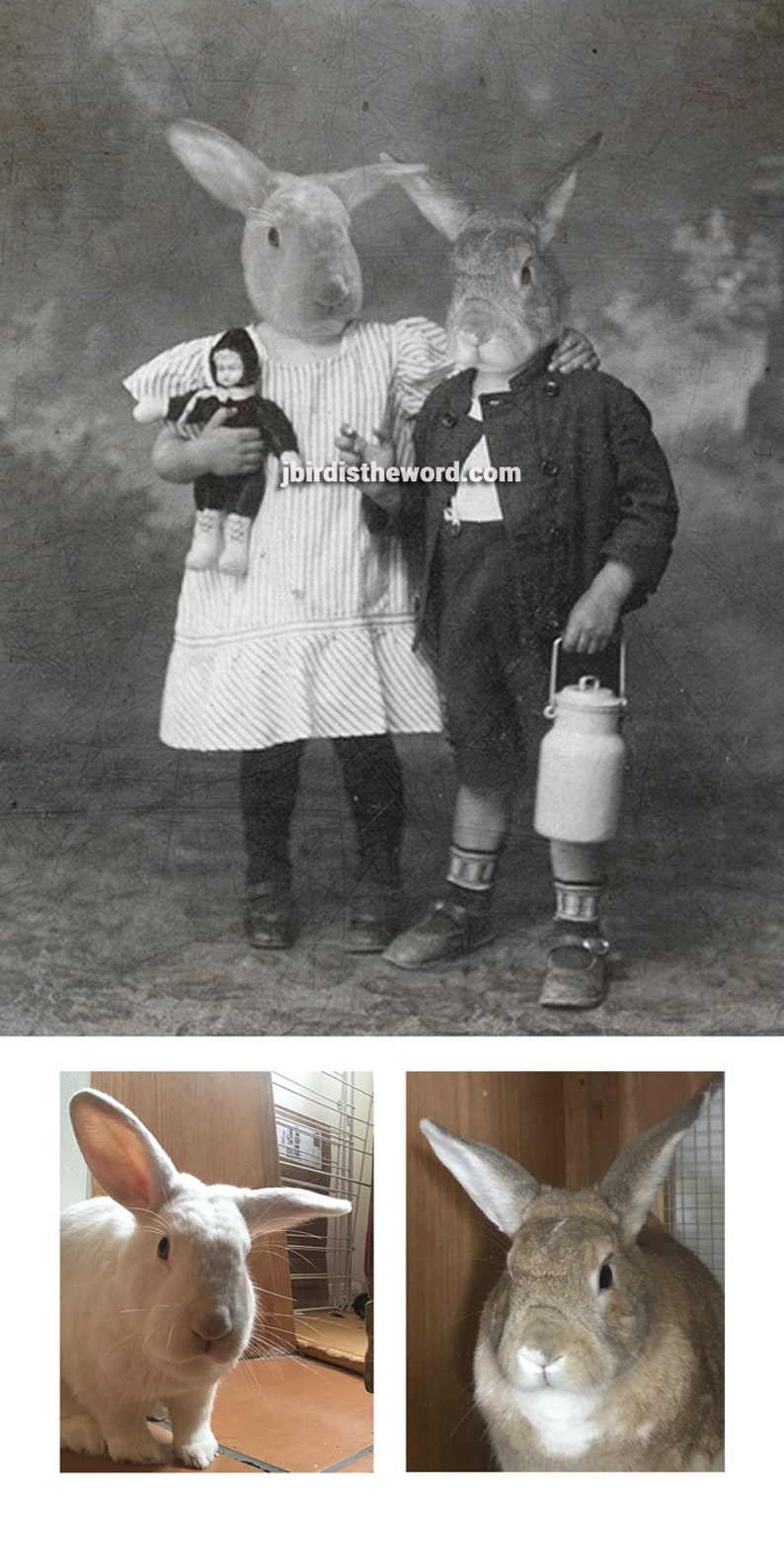 May include: Two rabbits wearing clothes, one holding a doll and the other holding a milk jug. The rabbit on the left is wearing a striped dress and the rabbit on the right is wearing a jacket and pants. The rabbits are standing in front of a blurry background.
