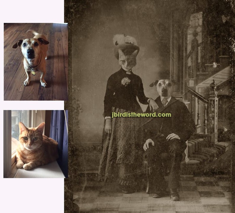 Op de afbeelding: Een vintage sepia-kleurige foto van een kat en een hond gekleed in formele kleding. De kat draagt een hoed en een jurk, terwijl de hond een pak en stropdas draagt. De afbeelding is van de website jbirdistheword.com.