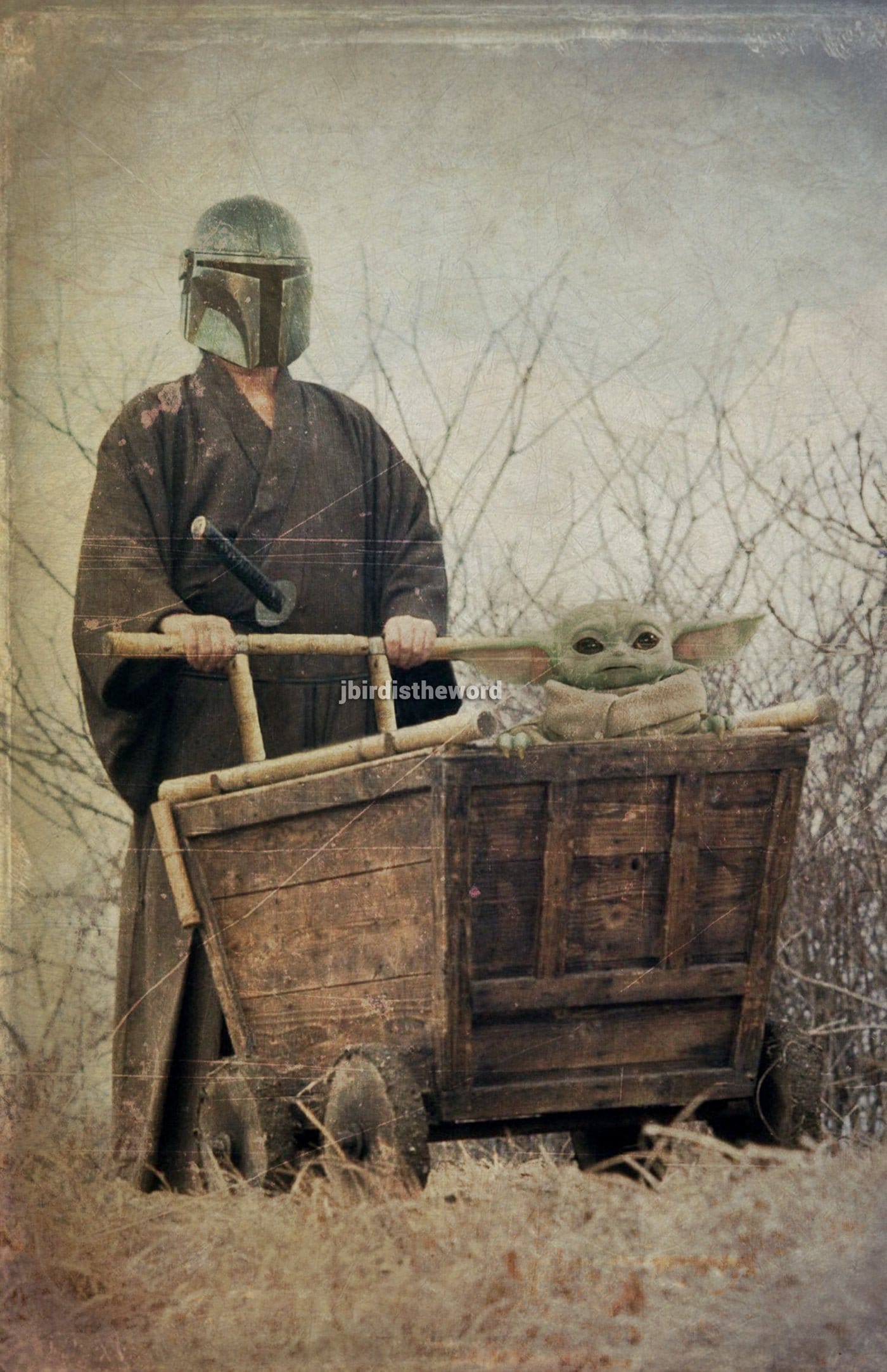 Aggregate 114+ lone wolf anime 3tdesign.edu.vn