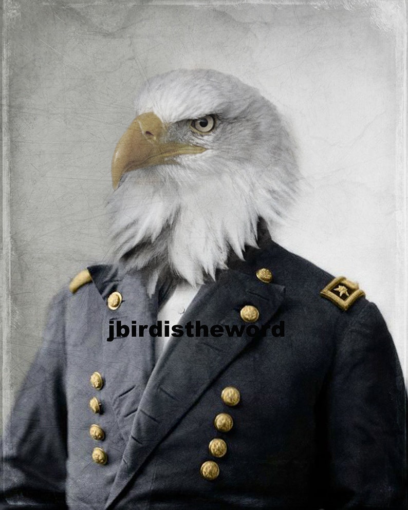 Bald Eagle Bald Eagle Art Bald Eagle Print Civil War - Etsy
