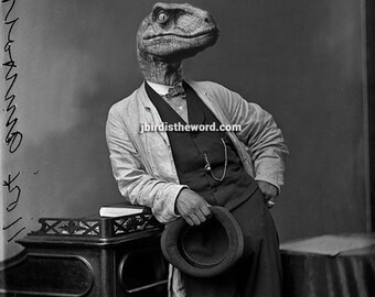 Raptor, Velociraptor, Dinosaur, 5x7, Raptor Print, Dinosaur Art, Dinosaur Print, Dinosaur Poster, Jurassic Park, Jurassic World, Dino