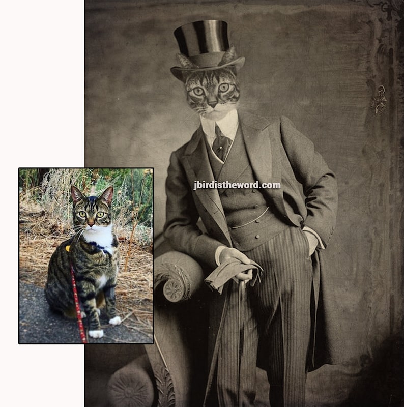 May include: A tabby cat wearing a top hat and a suit, with a cane in hand. The cat is sitting on a chair with a striped pattern. The background is a vintage-style photo.
