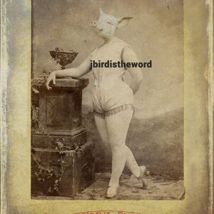 May include: A vintage black and white photograph of a person with a pig head wearing a white leotard and standing on a pedestal. The photo is framed with a decorative border and has the text "NEW YORK PHOTO. CO. NEW YORK." at the bottom.