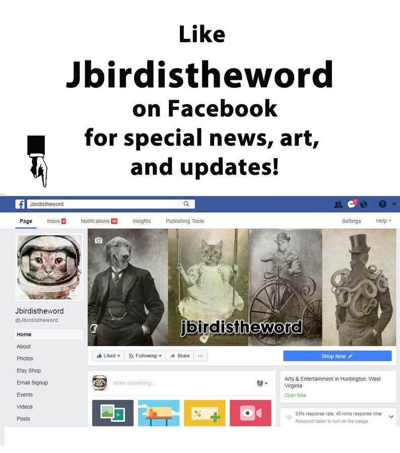 May include: A Facebook page for Jbirdistheword, an arts and entertainment business in Huntington, West Virginia. The page features a profile picture of a cat wearing a space helmet and a cover photo with four images of cats in vintage settings. The page includes a call to action to "Shop Now" and a description of the business as "Arts & Entertainment in Huntington, West Virginia".
