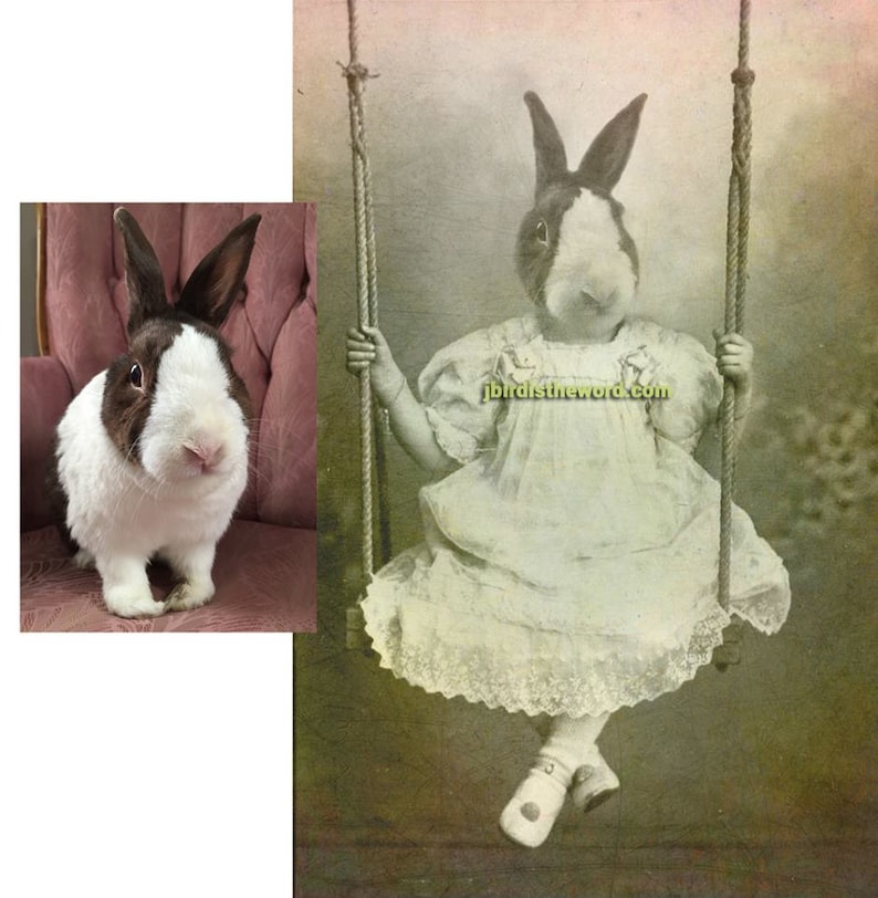 May include: A black and white rabbit with brown ears is wearing a white dress and sitting on a swing. The swing is made of rope and has wooden seats. The background is a faded vintage photograph.