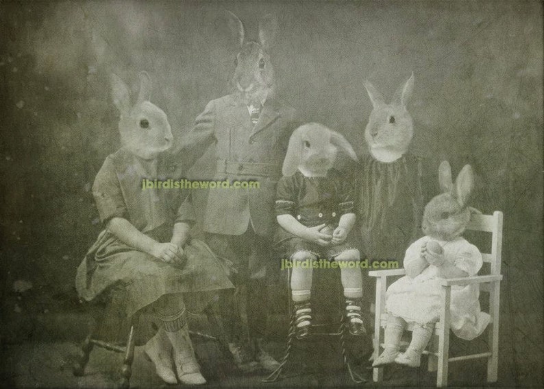 Peter Rabbit Nursery, Woodland Forest, Inspired by Nature, Nursery ...