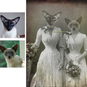 May include: Two Siamese cats dressed in vintage wedding gowns with floral bouquets. The image is in a sepia tone and has a vintage feel.
