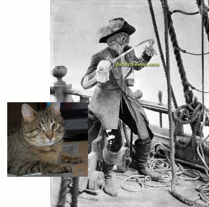 May include: A tabby cat dressed as a pirate captain with a sword and a hat, standing on a ship's deck with ropes and a cannon in the background. The cat is looking to the right and has a serious expression on its face. The image is in black and white.