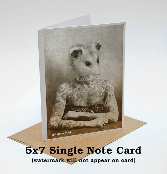 Victorian Pin Up, Mid Edwardian Era, Possum Note Cards, Feminist Gift Idea, Antique Victoriana, Inspired by Nature, Ask Maid of Honor, Weird