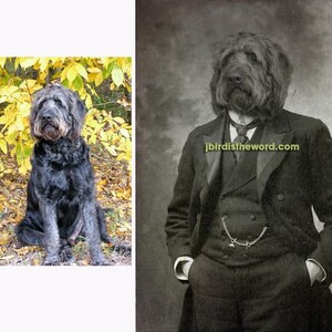 May include: A black dog with a long, shaggy coat is dressed in a vintage suit and tie. The dog is sitting with its head tilted slightly to the side. The background is a faded, textured, sepia-toned wall with the text "jbirdsistheword.com" printed on it.