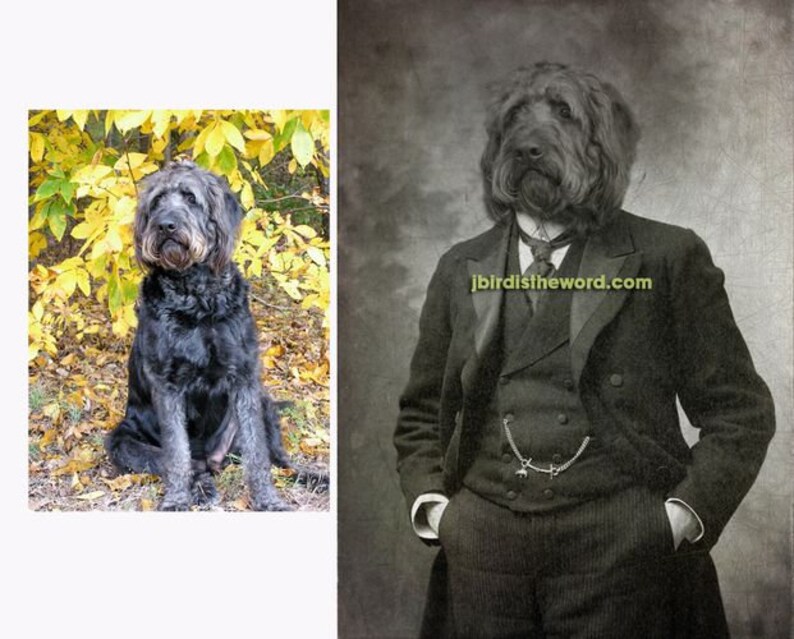 May include: A black dog with a long, shaggy coat is dressed in a vintage suit and tie. The dog is sitting with its head tilted slightly to the side. The background is a faded, textured, sepia-toned wall with the text "jbirdsistheword.com" printed on it.