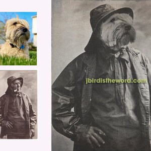 May include: A black and white photograph of a dog wearing a hat and jacket. The dog is looking to the right. The photograph has a website address at the bottom: jbirdistheword.com.