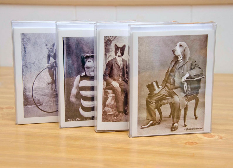 Pig Ballerina Farm Animal Farm Girl Wife Note Card Set 4H Show Pig Stationery Kit Inspired by Nature Thank You Rustic Shabby Cute