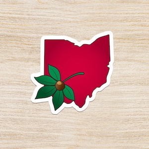 Pegatina de hoja de castaño de indias: pegatinas de vinilo, pegatinas para portátiles, pegatinas para botellas de agua, pegatinas Hydroflask, pegatinas de Ohio, pegatinas de estados