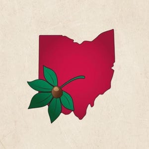 May include: A stylized illustration featuring the outline of the state of Ohio in red. A green and brown flower is positioned in front of the state outline. The background is a textured, off-white color.
