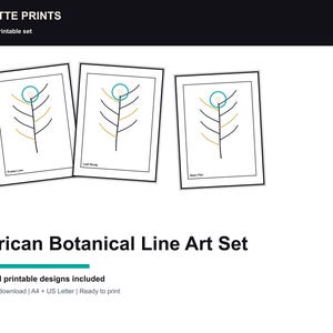 Afrikansk botanisk linjekonsttryckset, Protea-inspirerat minimalistiskt paket (digital nedladdning) bild 1