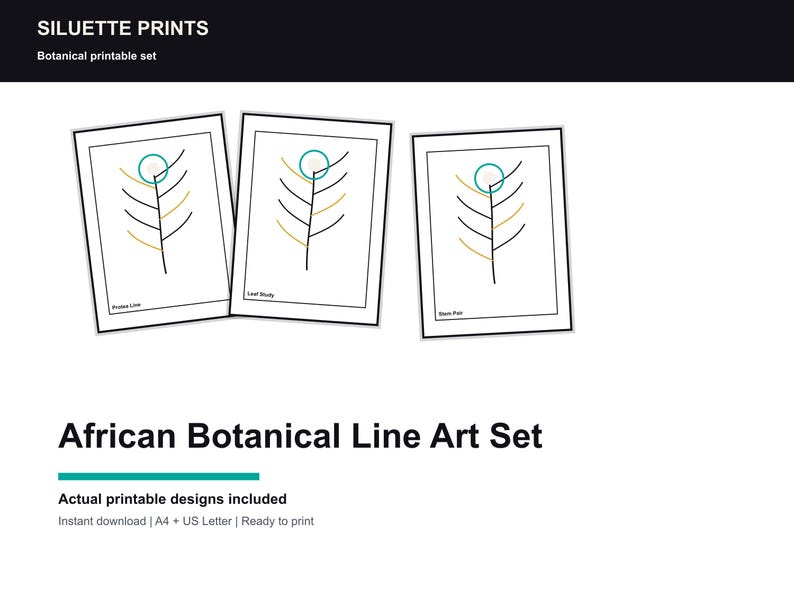Afrikansk botanisk linjekonsttryckset, Protea-inspirerat minimalistiskt paket (digital nedladdning) bild 1