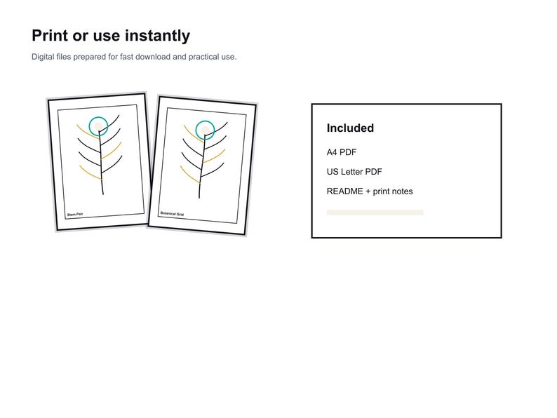 Afrikansk botanisk linjekonsttryckset, Protea-inspirerat minimalistiskt paket (digital nedladdning) bild 4