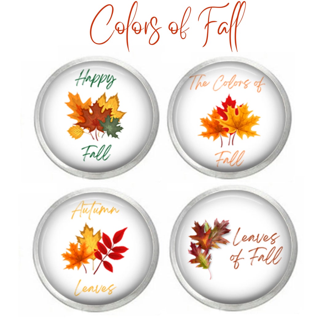 Fall Snap, Autumn Leaves Snap, Compatible With Ginger Snaps, 18mm Snap ...