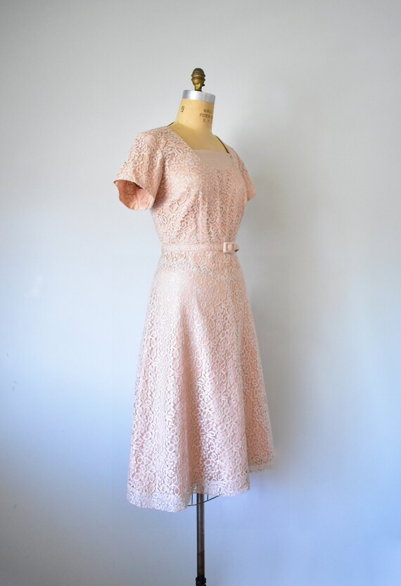 Mel lace dress, blush 1950s dress, 50s dress, mid… - image 4