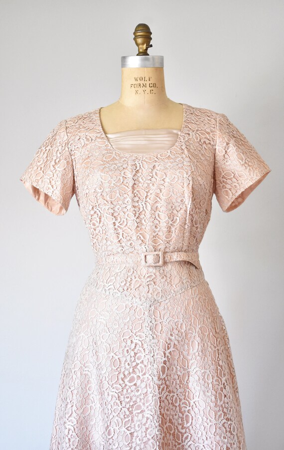 Mel lace dress, blush 1950s dress, 50s dress, mid… - image 3