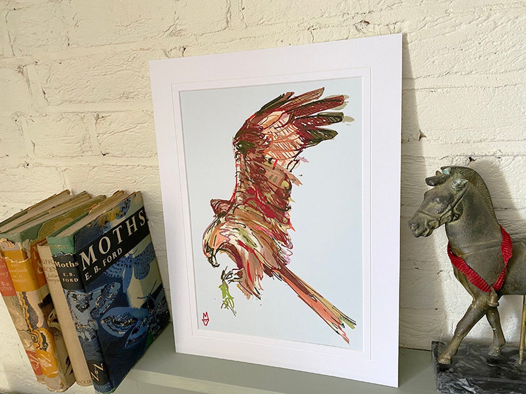 Red Kite in Flight Picture h 41cm X W 30cm, Red Kite, Birds, Bird of ...