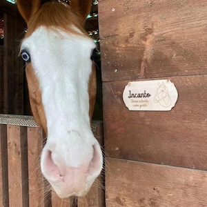 Personalized plaque - Wooden plaque - Handmade plaque - Plaque for horse box - Plaque for horses - Made in Italy plaque - Gift idea