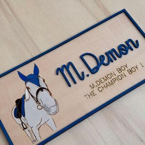 Colorful Graphic Sign - Stable Door Sign - Wooden Animal Sign - Horse Sign - Personalized Sign