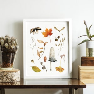Herbst Illustrierter Druck A - Pilz, Ahornblatt, Herbstlaub & Tannenzapfen Aquarellbilder - Kunstwerk von Alicia's Infinity